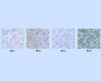 "Huayi" series of PVC mesh-style pastes of conduct